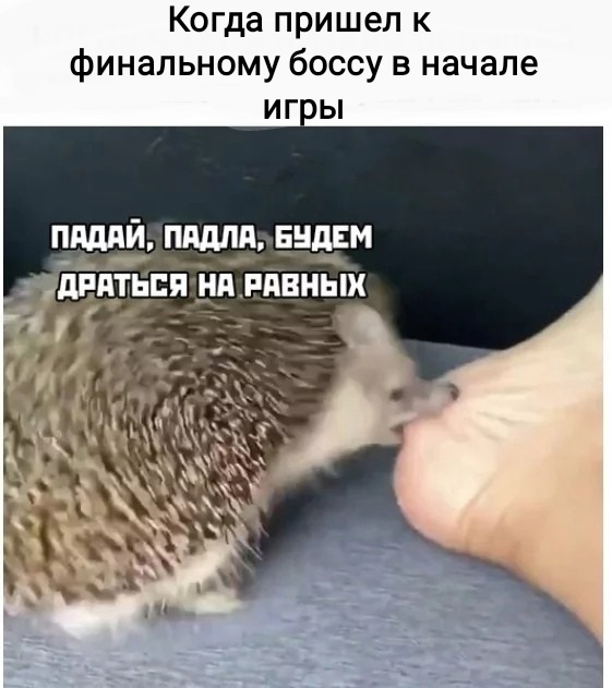Не на того напал авто. Смотреть фото Не на того напал авто. Смотреть картинку Не на того напал авто. Картинка про Не на того напал авто. Фото Не на того напал авто