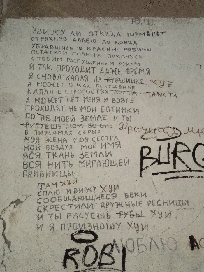 Прогулки по Октябрьской набережной с собакой