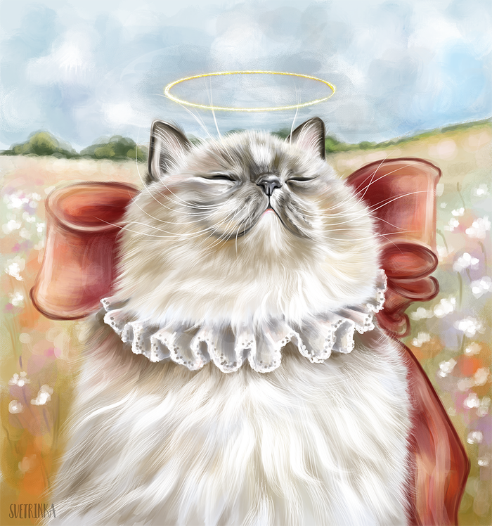 ���� �����������