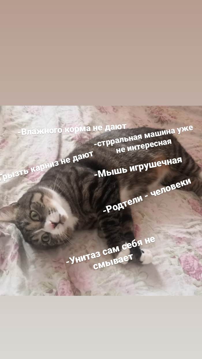 Жизнь - боль