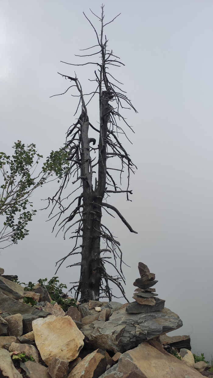 Мистика горного Алтая