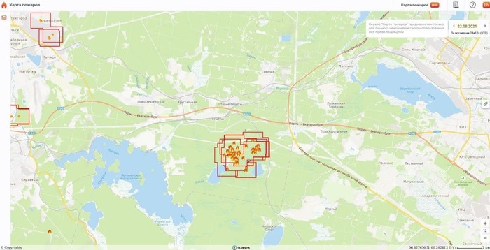 почему в лесу нельзя разбивать стеклянные бутылки. Смотреть фото почему в лесу нельзя разбивать стеклянные бутылки. Смотреть картинку почему в лесу нельзя разбивать стеклянные бутылки. Картинка про почему в лесу нельзя разбивать стеклянные бутылки. Фото почему в лесу нельзя разбивать стеклянные бутылки