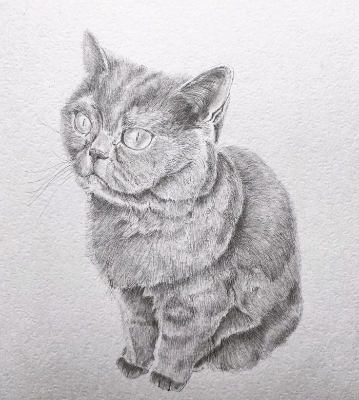 �������� ����������� ����