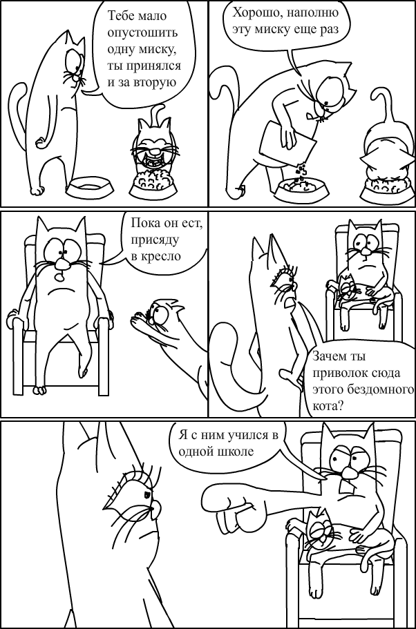 Хозяин кота