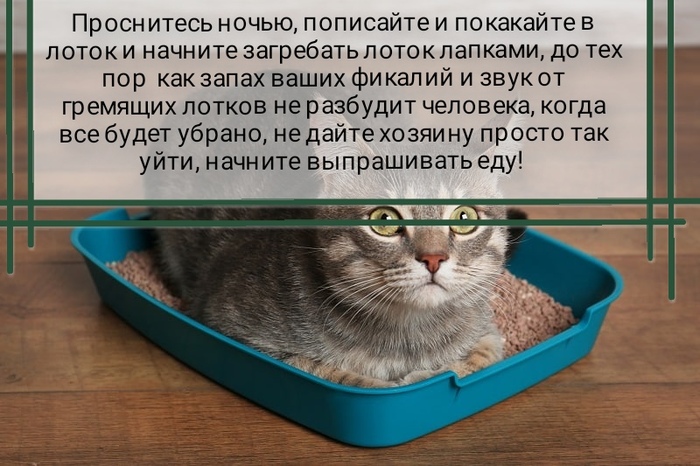   . PS:     