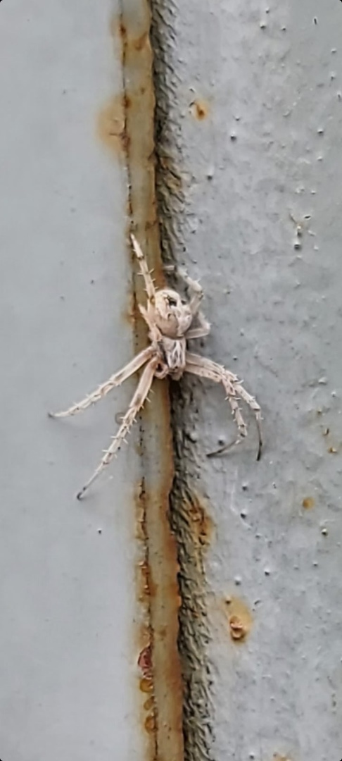 �������� ���������� �����