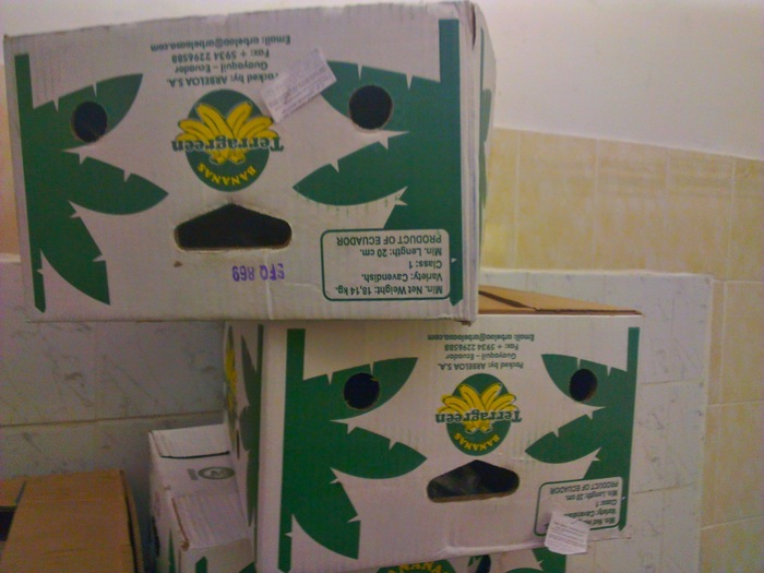 Даже коробки в шоке от цен...