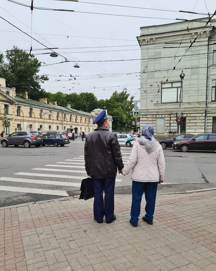 ������ ���������