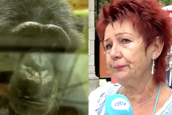 ������� ��������� �������� ������� ��-�� ������� � ��������