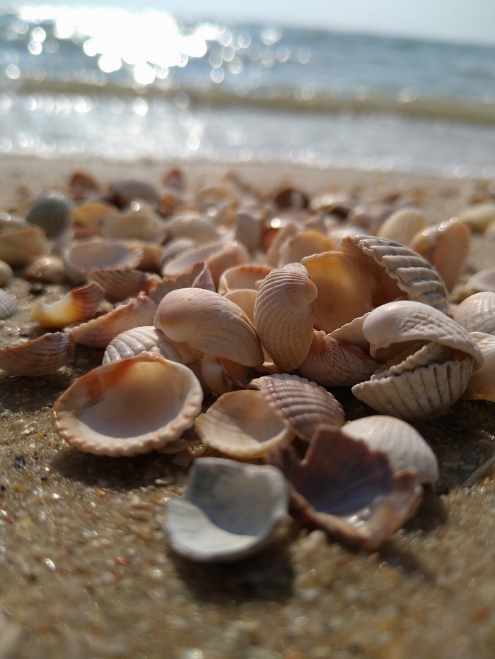 Азовское море