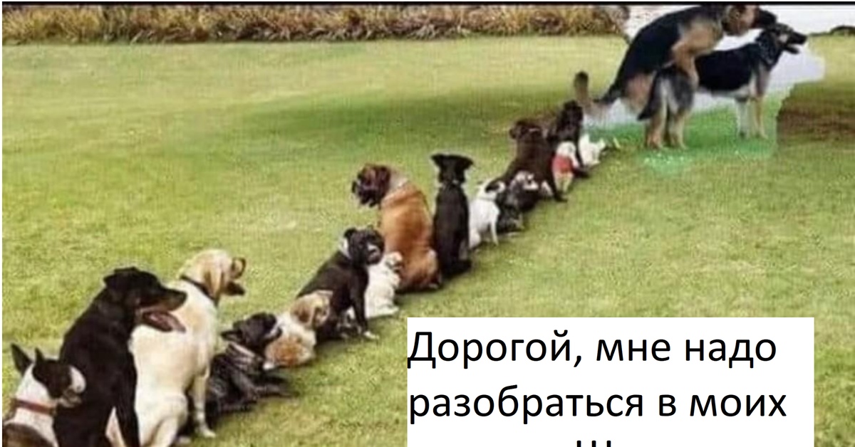 Мне надо настоящие