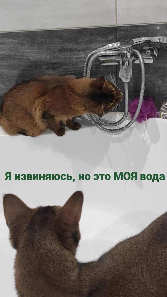       , ,   , 
