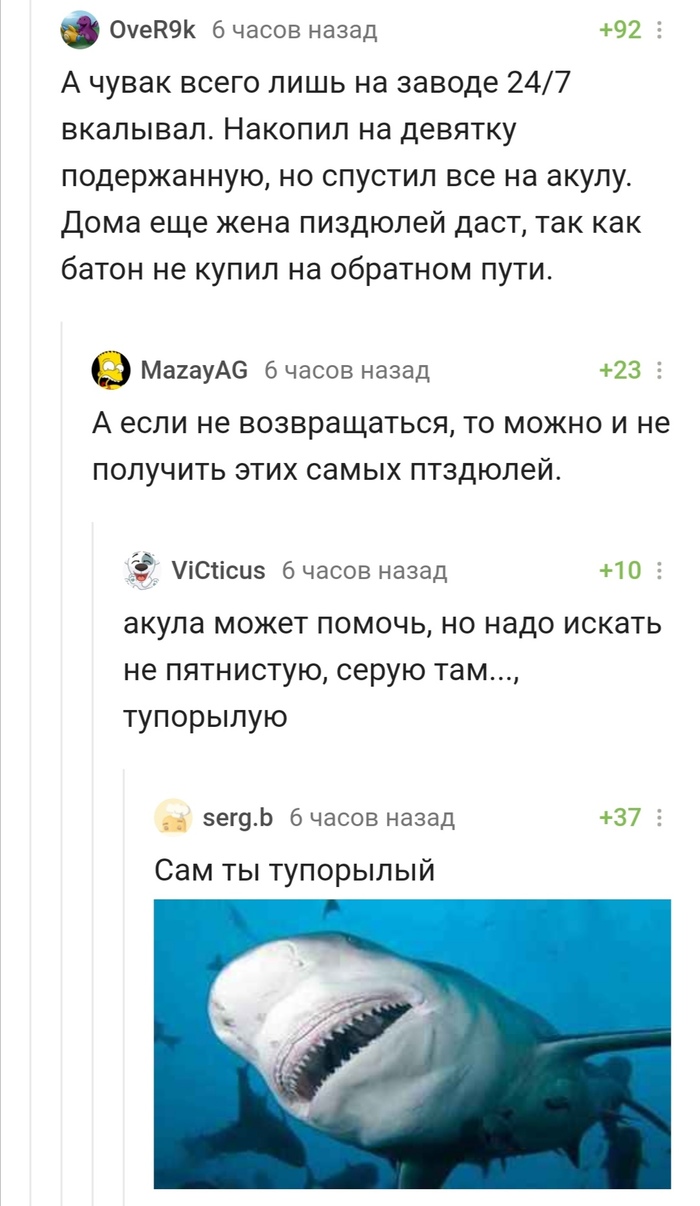 Акула: истории из жизни, советы, новости, юмор и картинки — Все посты,  страница 4 | Пикабу