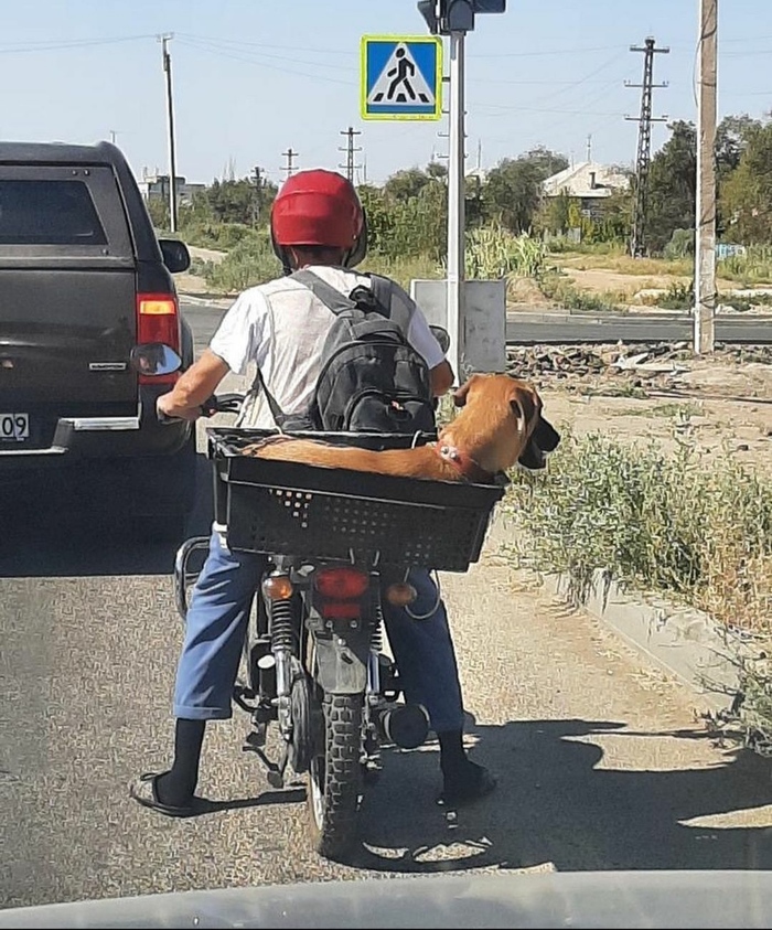 �� ����� �� ���������� �������� ������ ���������. �������� ��������