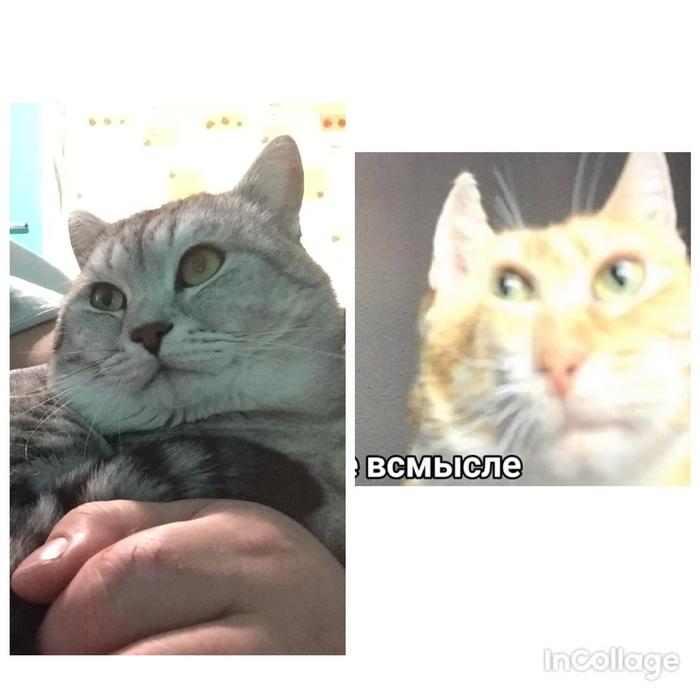   , 