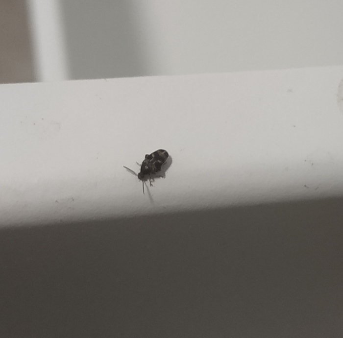 ��������� � ���������