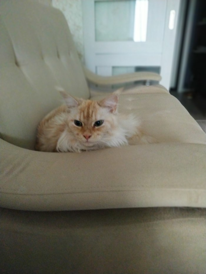      -, , 