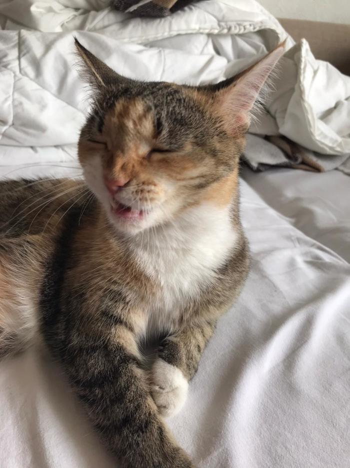 �������� ����?