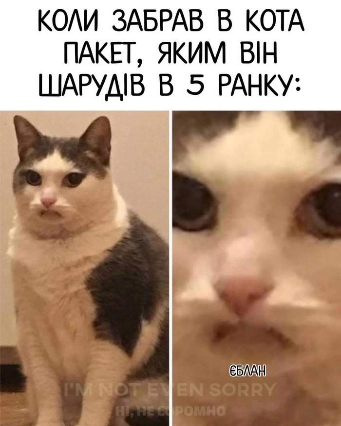 ��� �����