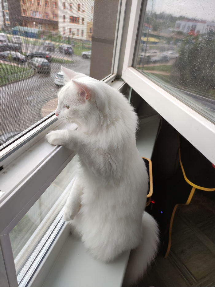 Что-то там интересное