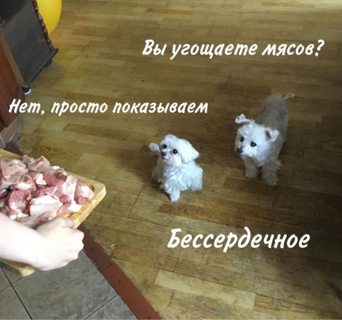 ��� �����