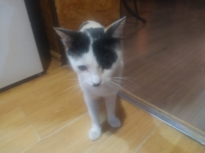 Похож на одного художника?