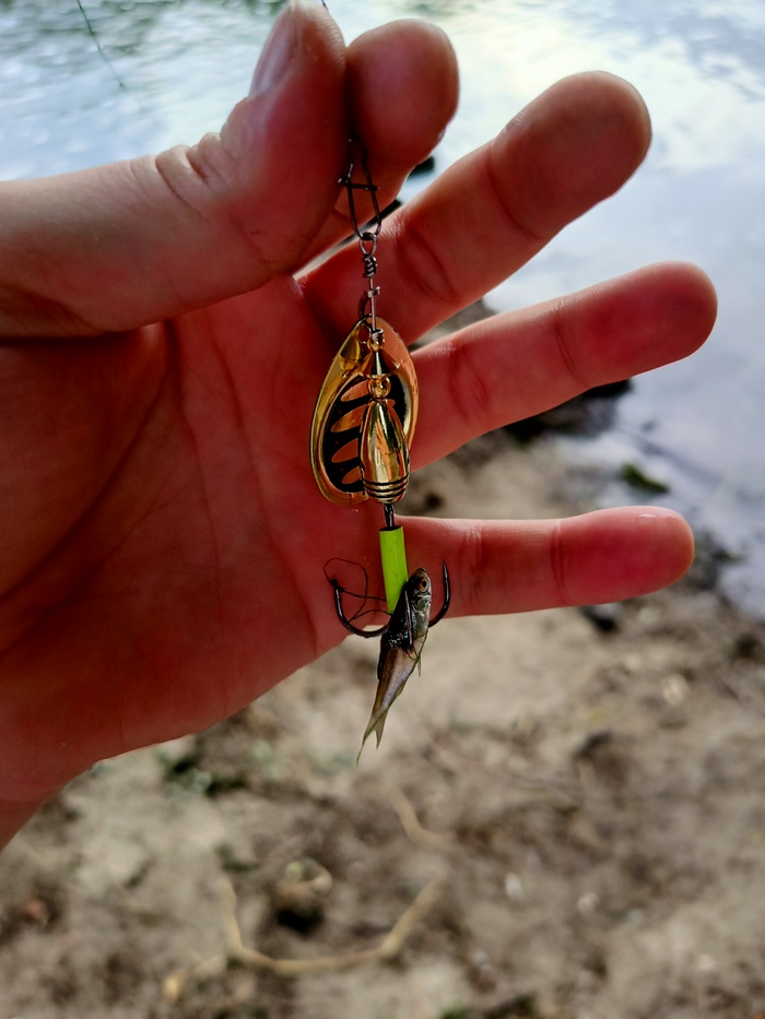 Подготовка к рыбалке