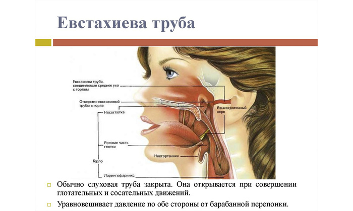 Какова вероятность что самолет упадет. Смотреть фото Какова вероятность что самолет упадет. Смотреть картинку Какова вероятность что самолет упадет. Картинка про Какова вероятность что самолет упадет. Фото Какова вероятность что самолет упадет