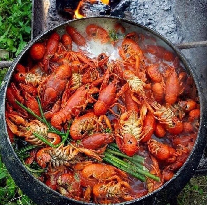 �������� �����))