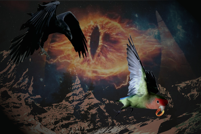 Альтернативная история Властелина Колец