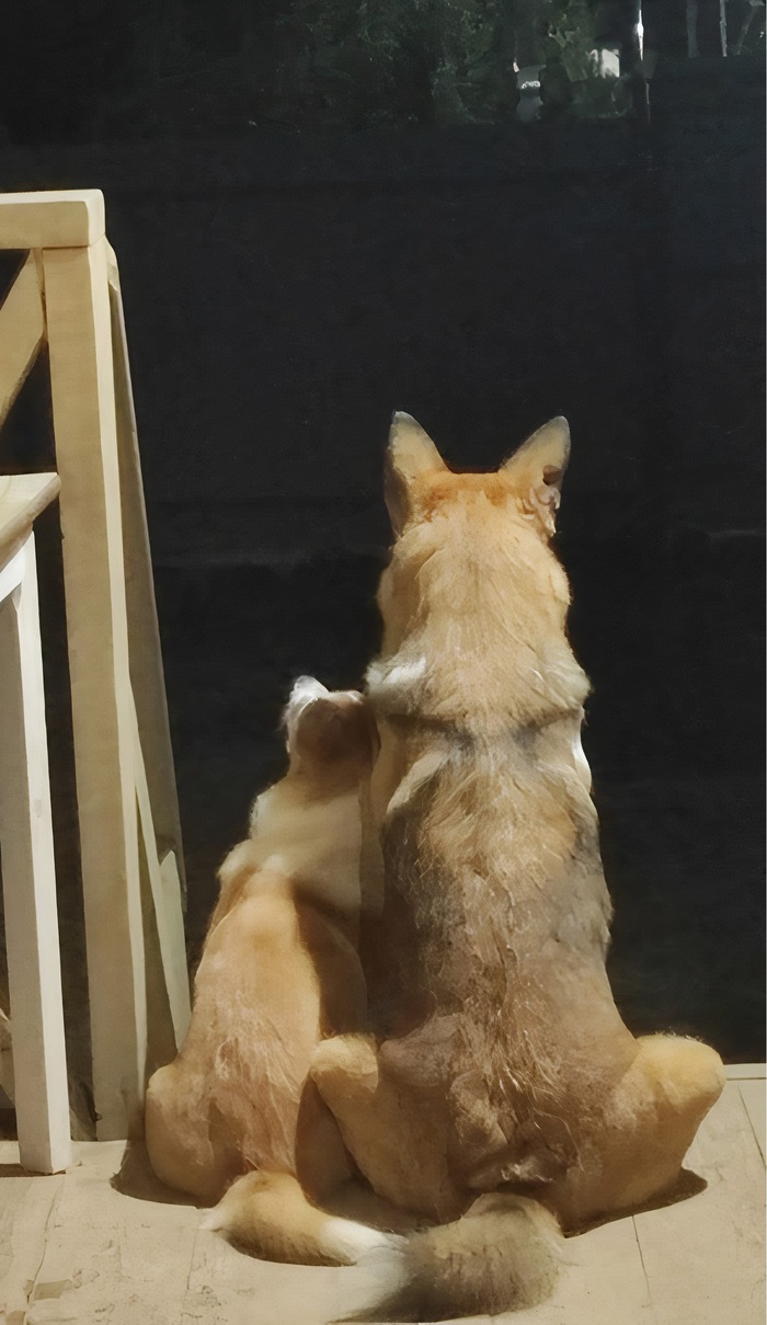   ,  , 