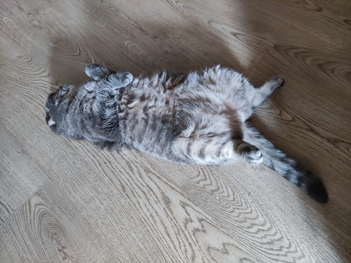 � ����� ��������� ������ ��� "�� ������������ �" )))