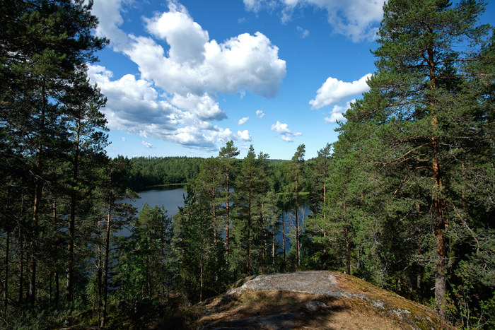 Озеро ястребиное Фотография, Озеро, Ястребиное озеро, Лес, Пейзаж, Длиннопост