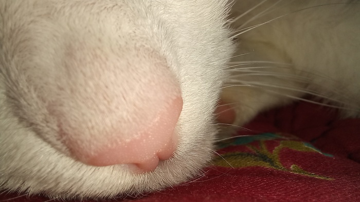 "�����" ����!