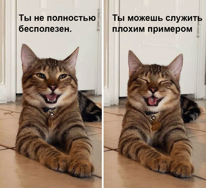 ложка дорога к обеду а к ужину. 1630429594195668453. ложка дорога к обеду а к ужину фото. ложка дорога к обеду а к ужину-1630429594195668453. картинка ложка дорога к обеду а к ужину. картинка 1630429594195668453. Фразу «Дорога ложка к обеду» слышали многие, обычно этой пословицей упрекают того, кто сделал что-либо позже назначенного срока.