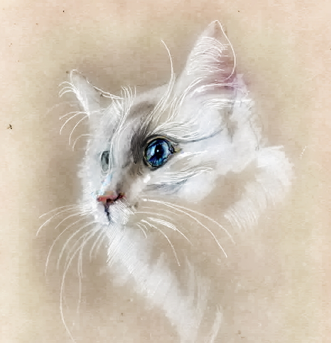Кошки, рисунки | Пикабу