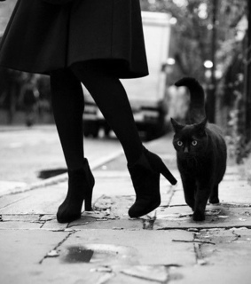 Хочу услышать ваше мнение