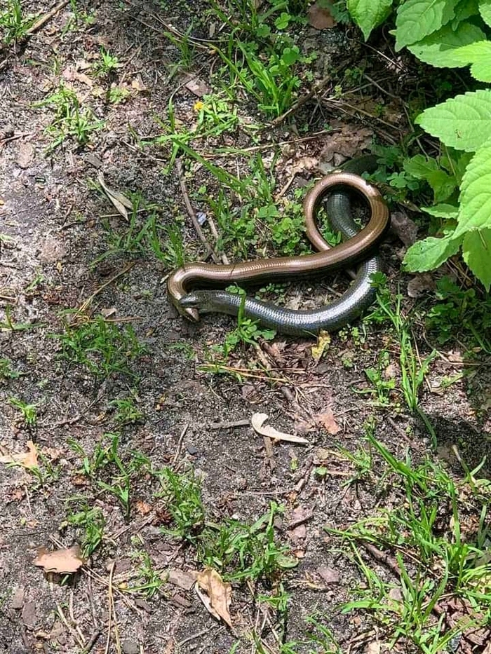 ������� �������� ������� �� �����