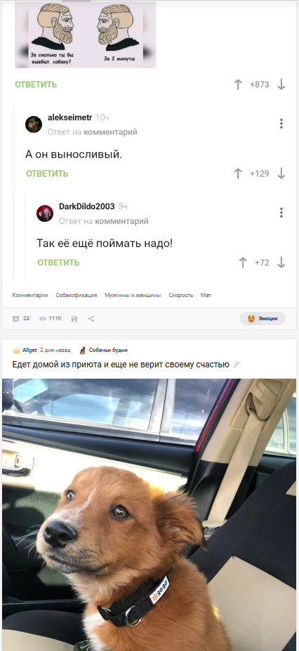 ����� ������ �������� �����, ���� ���������� - �����