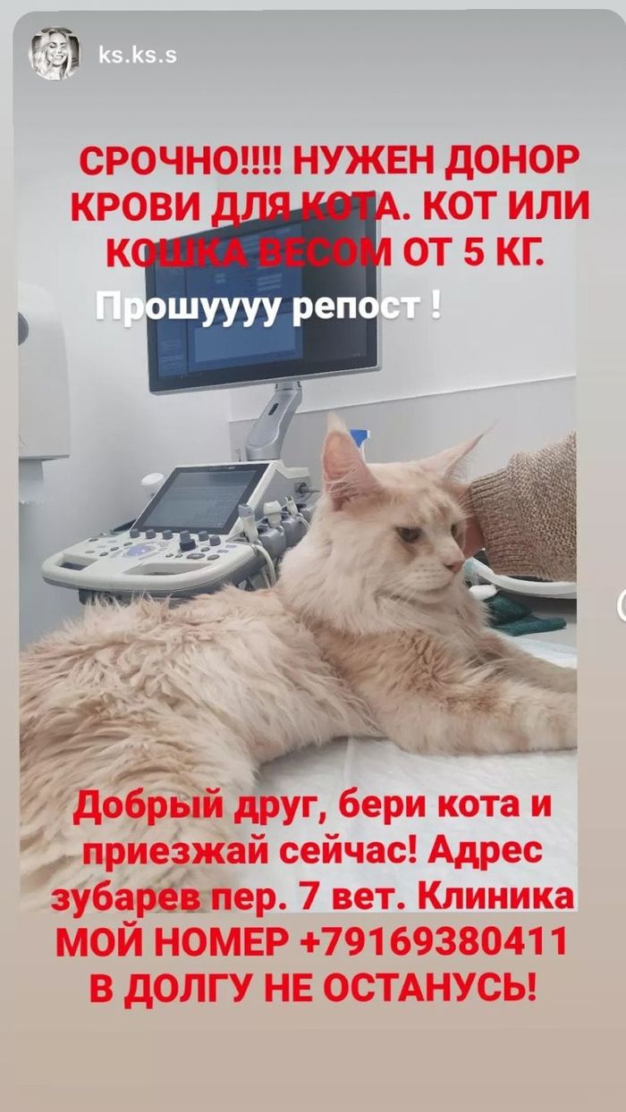 что значит донор резерва. Смотреть фото что значит донор резерва. Смотреть картинку что значит донор резерва. Картинка про что значит донор резерва. Фото что значит донор резерва