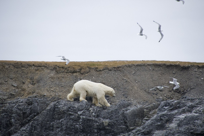         , ,  , ,  ,   ,  , The National Geographic, , , ,  , ,  ,  , 