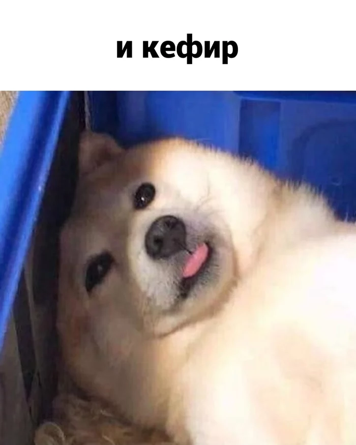 1630512799157183598.webp