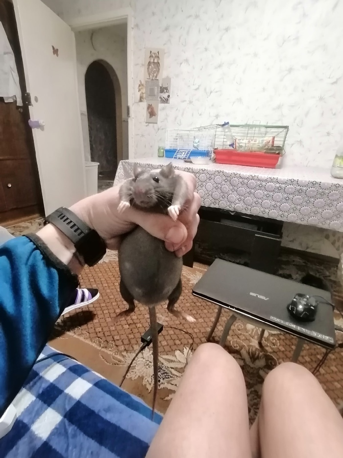 Ждём пополнение))