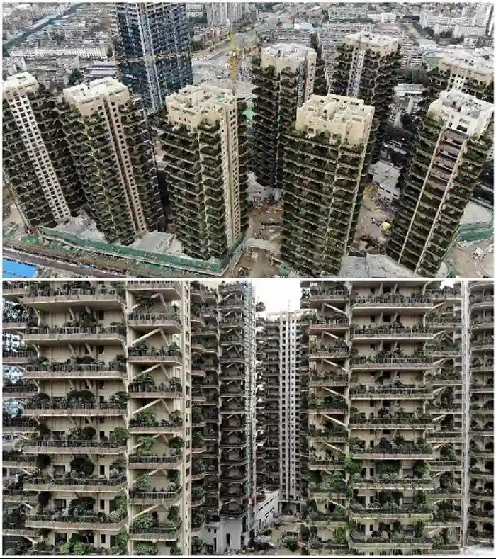 зачем китайцам русский лес. 1630528042283986438. зачем китайцам русский лес фото. зачем китайцам русский лес-1630528042283986438. картинка зачем китайцам русский лес. картинка 1630528042283986438. зачем китайцам русский лес. 1630528042283986438. зачем китайцам русский лес фото. зачем китайцам русский лес-1630528042283986438. картинка зачем китайцам русский лес. картинка 1630528042283986438.