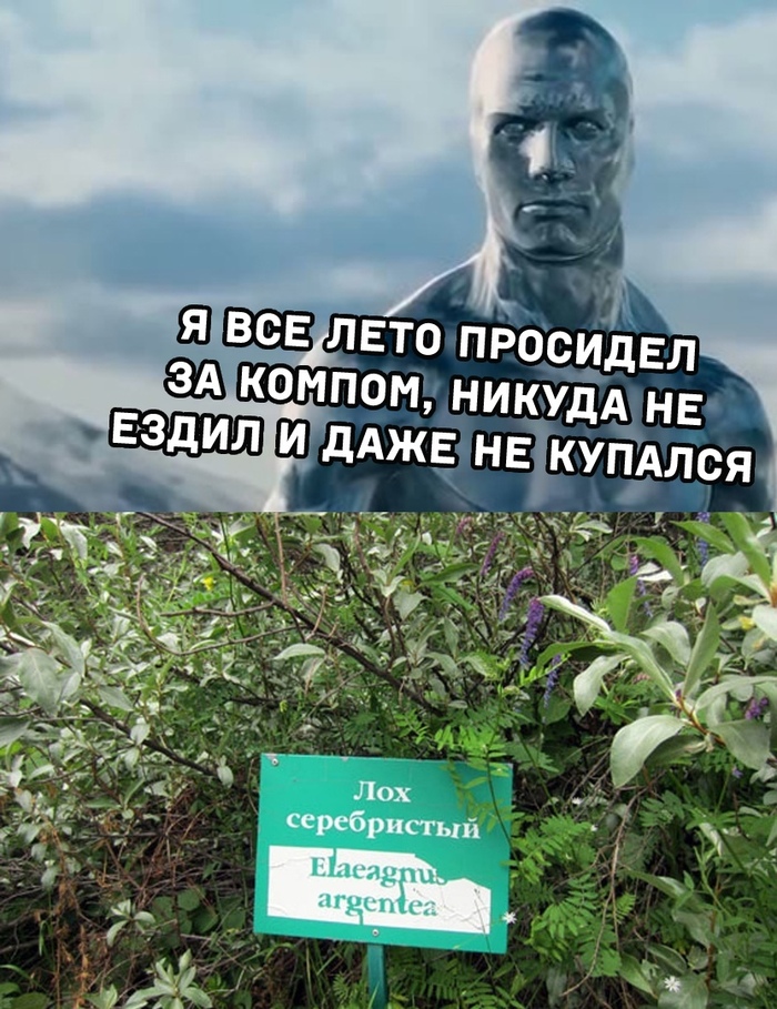 Дедлайн или игры? Что держит тебя?)