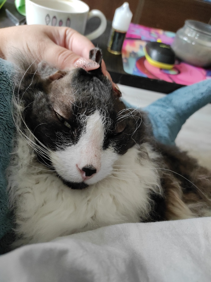 � ������� ��� ����