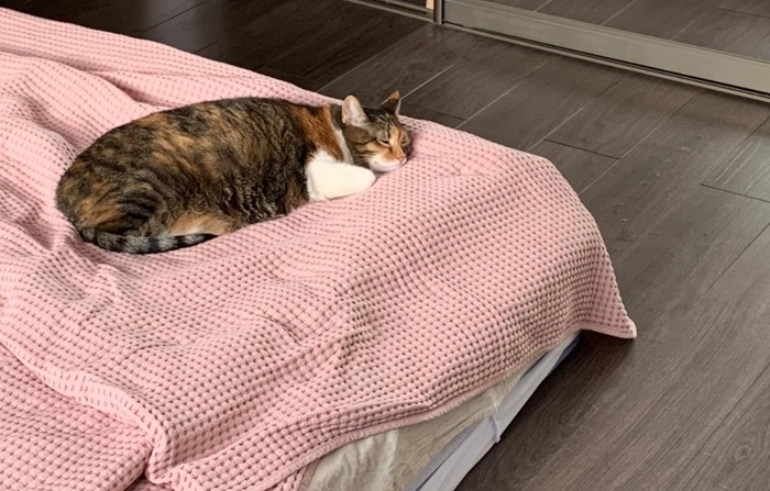 ����� ������ ���?...