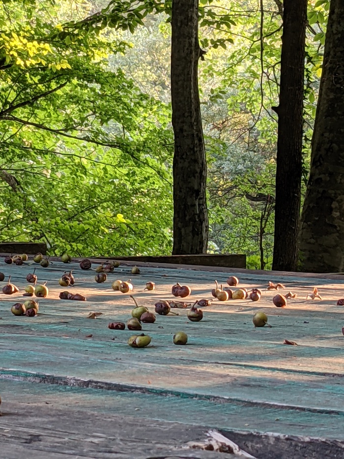 Уже осень...