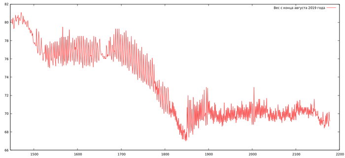 Год без лишнего веса