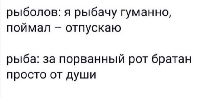 с днем рыбы мем. Смотреть фото с днем рыбы мем. Смотреть картинку с днем рыбы мем. Картинка про с днем рыбы мем. Фото с днем рыбы мем